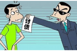 单县贷款清欠服务