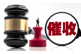 单县企业清欠服务